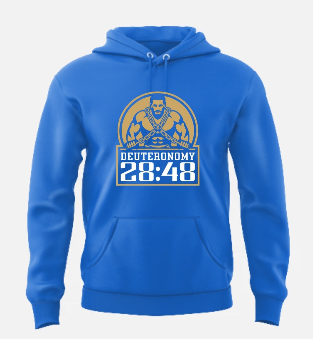 Deuteronomy 28:48 (Hoodie)
